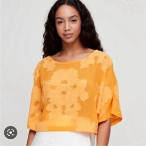 Wilfred Overside Semi Sheer Floral Print Crop Top